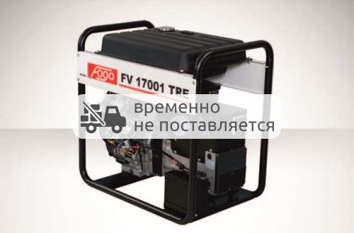 Бензиновый генератор Fogo FV17001TRE