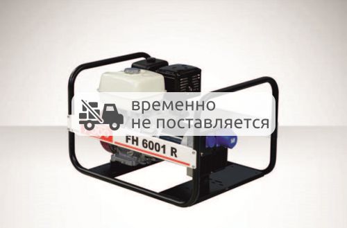 Бензиновый генератор Fogo FH6001RE