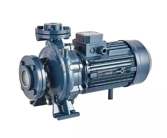 Насос центробежный моноблочный Purity PSTC 100-200/370