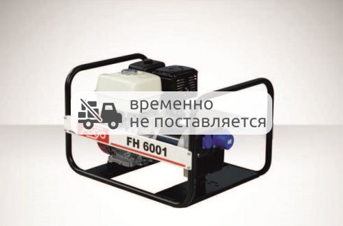 Бензиновый генератор Fogo FH6001