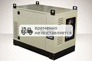 Бензиновый генератор Fogo FV17001CRA