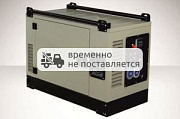 Бензиновый генератор Fogo FV10001CRA с АВР