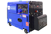 Сварочный генератор TSS DGW 7.0/250EDS-R в кожухе