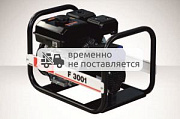 Бензиновый генератор Fogo F3001