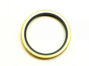 Сальник термостата Камминз / Thermostat Seal Cummins 186780 135600 RE3000477