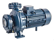 Насос центробежный моноблочный Purity PSTC 50-200/110 (N)